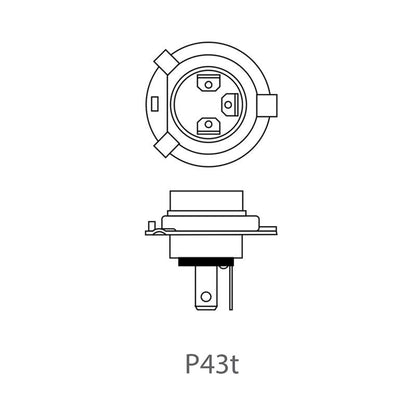 Autolampe H4 12V 60/55W P43t im Karton